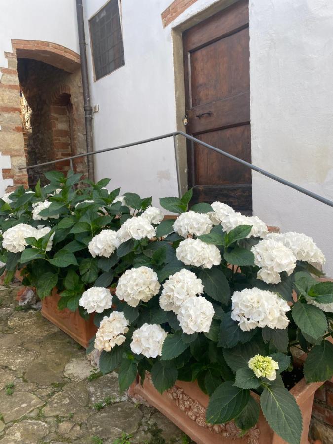 Gavene Hotel Villamagna  Luaran gambar